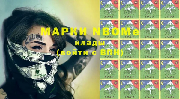 стаф Осинники