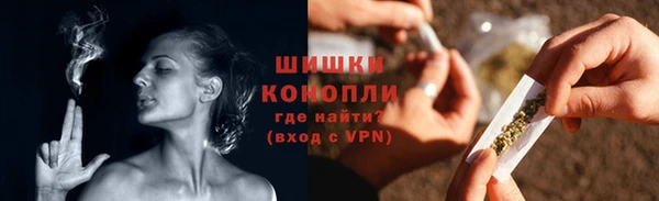 стаф Осинники