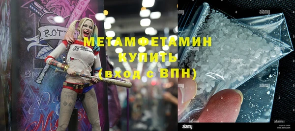 стаф Осинники