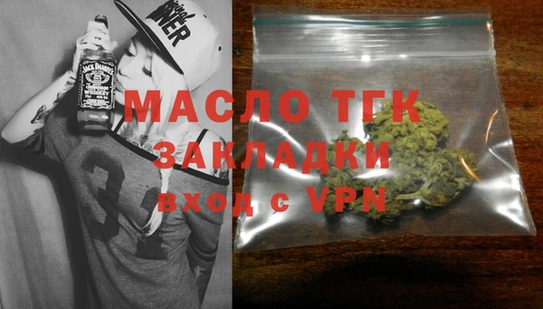 соль ск Новозыбков