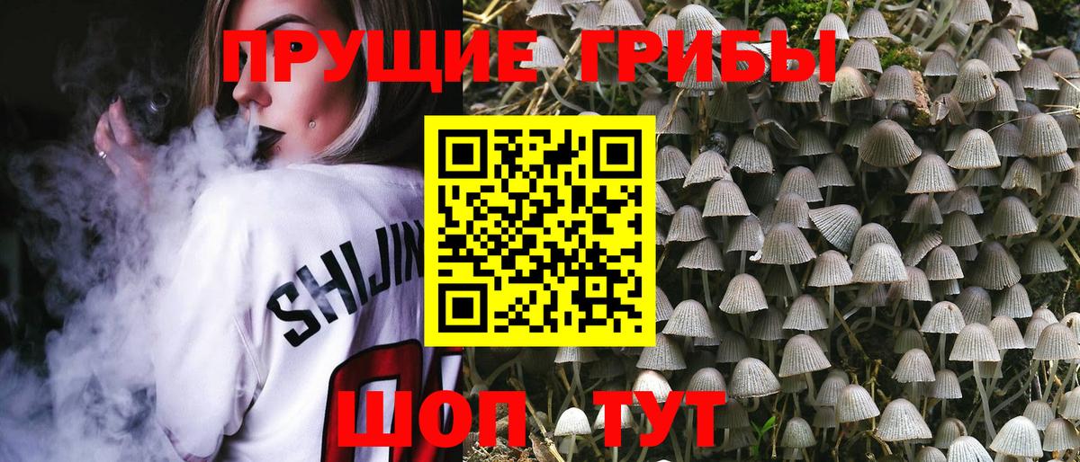 Югорск  Псилоцибиновые грибы MAGIC MUSHROOMS  где купить наркоту  Вход с VPN 