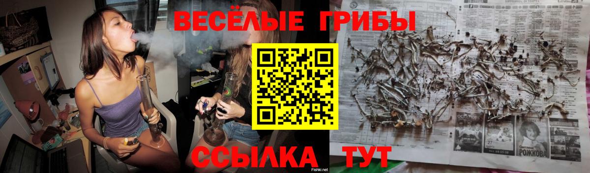Псилоцибиновые грибы GOLDEN TEACHER Югорск